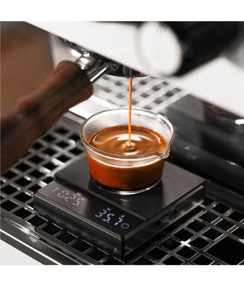 Kitchen Coffee Scale with Time - Coffee Bean Scale 评论和价格